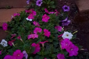 5863a70a-b125-4ce4-b7bb-e6fdd52c3e01