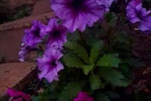 a9a8eccf-8455-4b53-99e8-c1871758604b